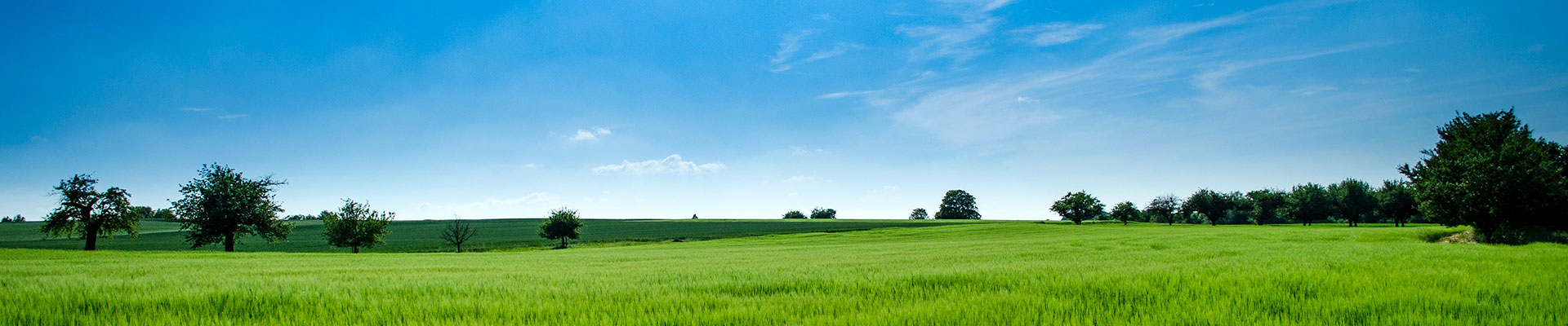 創優質品牌，鑄一流形象